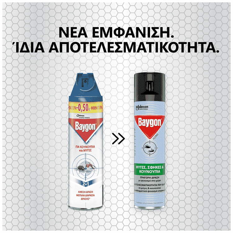 Baygon Flying Ιπτάμενα 300ml