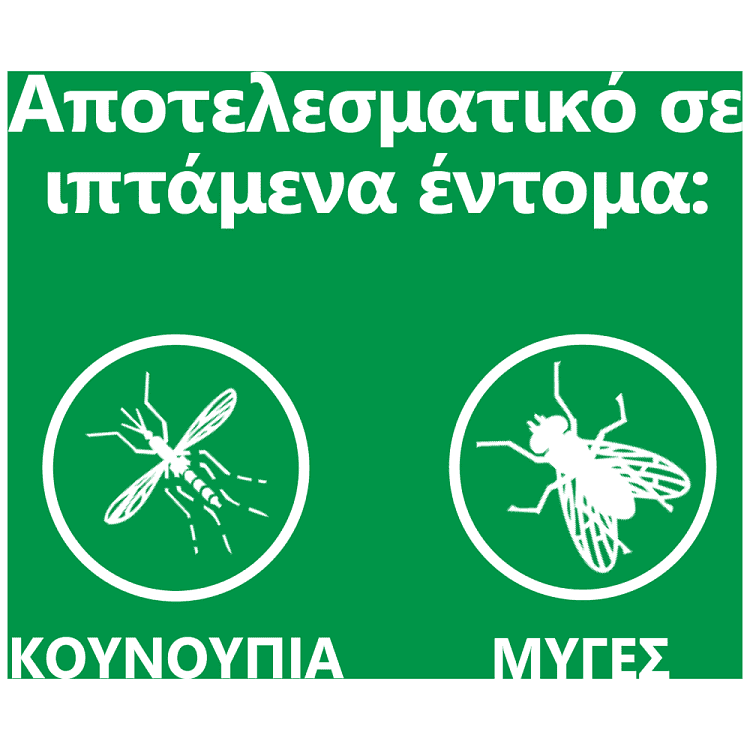 Baygon Flying Ιπτάμενα 300ml