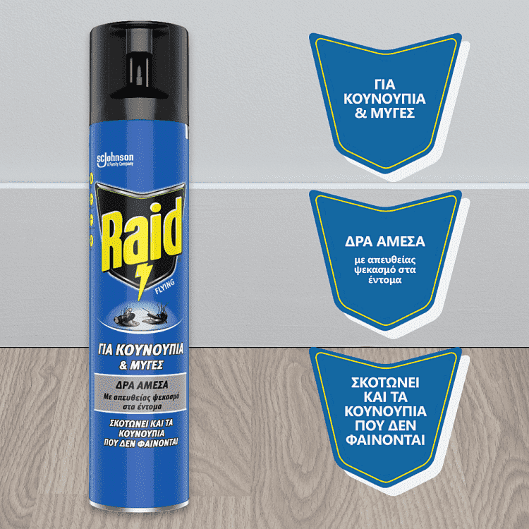 Raid Εντομοκτόνο Spray 300ml