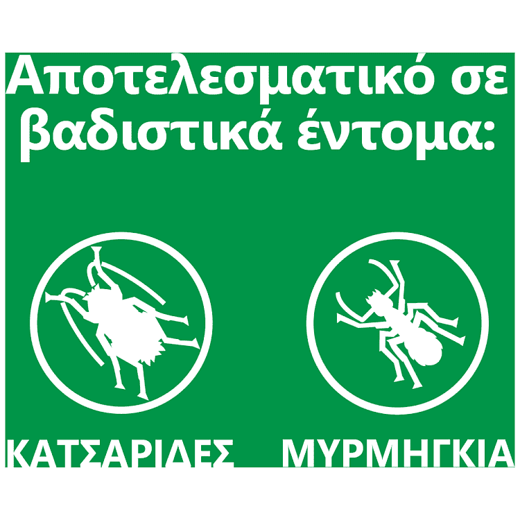 Baygon Crawling Κατσαριδοκτόνο 400ml