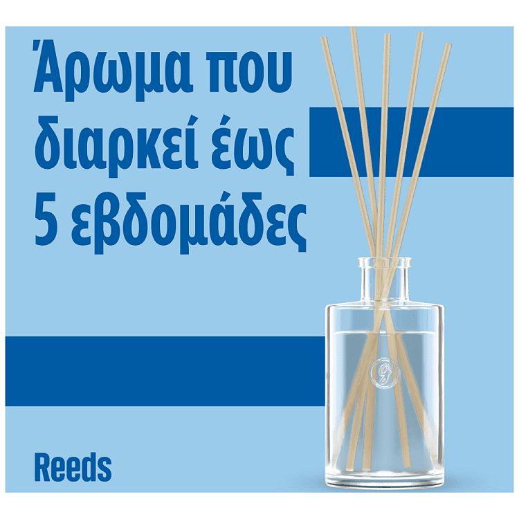 Glade Reeds Twinkling Apple & Cinnamon 5oml