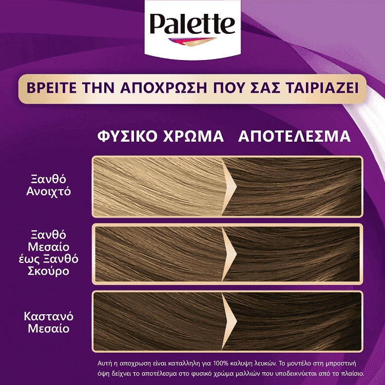 Palette Κρέμα Βαφή Μαλλιών Ν6 Ξανθό Σκούρο