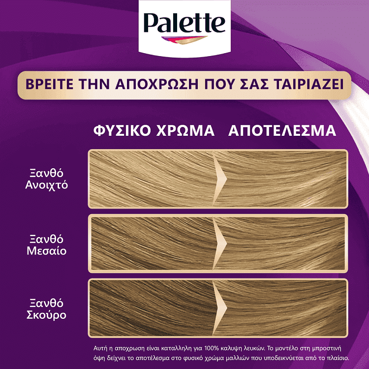 Palette Κρέμα Βαφή Μαλλιών N8 Ξανθό Ανοιχτό