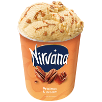 Nestle Nirvana Pralines & Cream 360gr