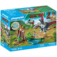 Playmobil Dinos Παρατηρώντας τον Διμορφοδόντα