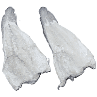 Brosme Υγράλατο Νήσοι Φερόε Τιμή Κιλού