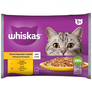 Whiskas 1+ Pure Delight Υγρή Τροφή Γάτας Πολυσ/σία Πουλερικά Σε Ζελέ 4x13x85gr
