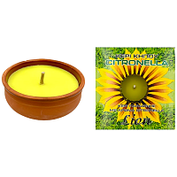 Lion Κερί Σιτρονέλα Πήλινο Κασπώ 260gr