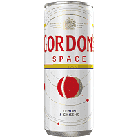 Gordon's Space Kουτί 250ml