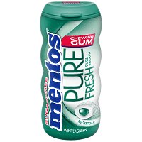 Mentos Pure Fresh Pocket Bottle Wintergreen Τσίχλες 28gr