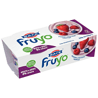Fruyo Επιδόρπιο Γιαουρτιού 0% Φρούτα Toυ Δάσους 2x150gr