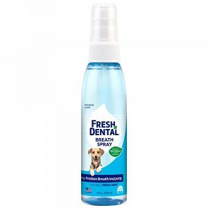 Fresh Dental Οδοντικό Spray 118ml