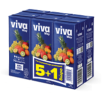 Viva Way Φυσικός Χυμός 9 Φρούτα 250ml 5+1 Δώρο