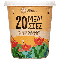 20 Μέλισσες Μέλι Άνθεων Ελληνικό 500gr