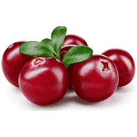 Κράνμπερι Nωπό Εισαγωγής 340gr