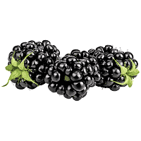 Βατόμουρα Συσκευασία 125gr