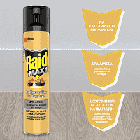 Raid Max Κατσαριδοκτόνο Spray 300ml