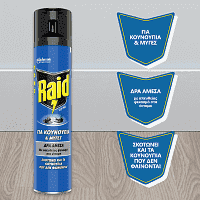 Raid Εντομοκτόνο Spray 300ml
