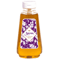 Δανάη Μέλι Ελληνικό 480gr